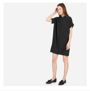 Everlane Square Silk Shirt Button Down Drees Size 4